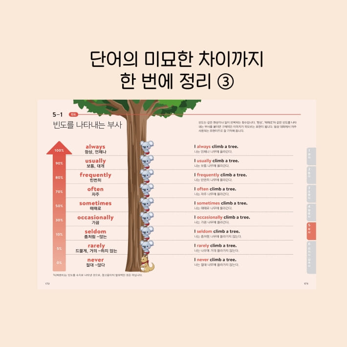 카드뉴스3