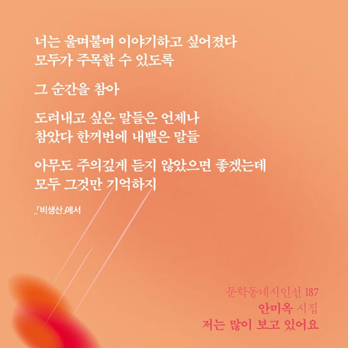 카드뉴스5