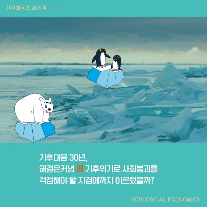 카드뉴스3
