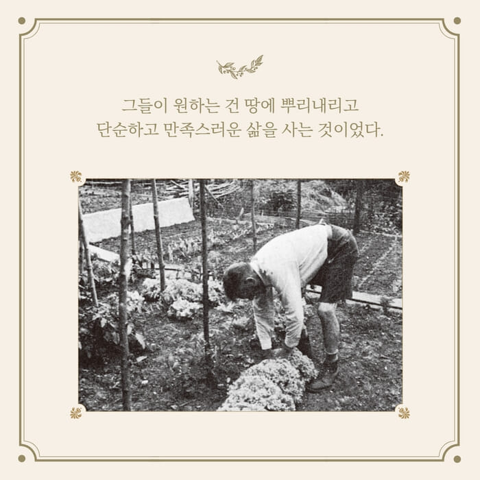 카드뉴스4