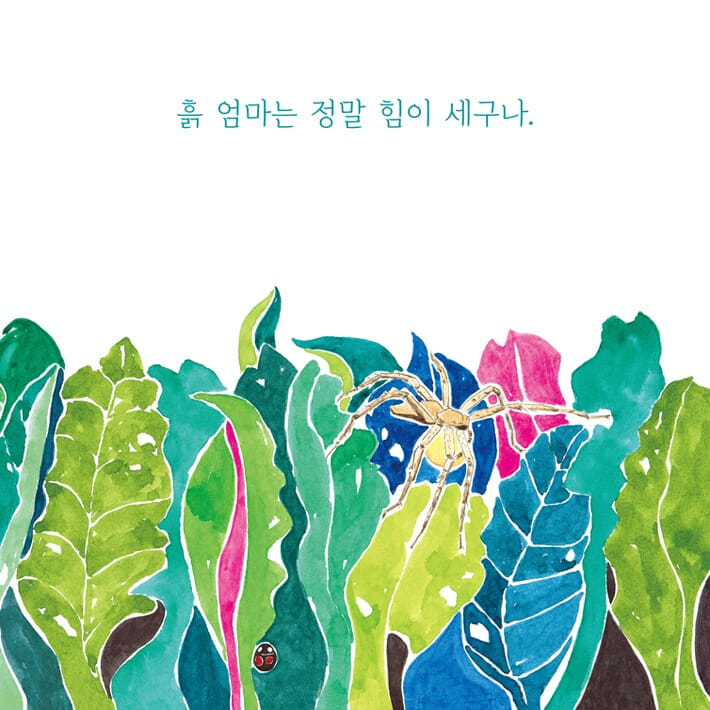 카드뉴스2
