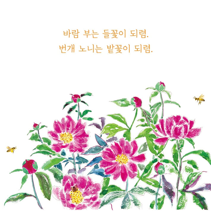 카드뉴스3