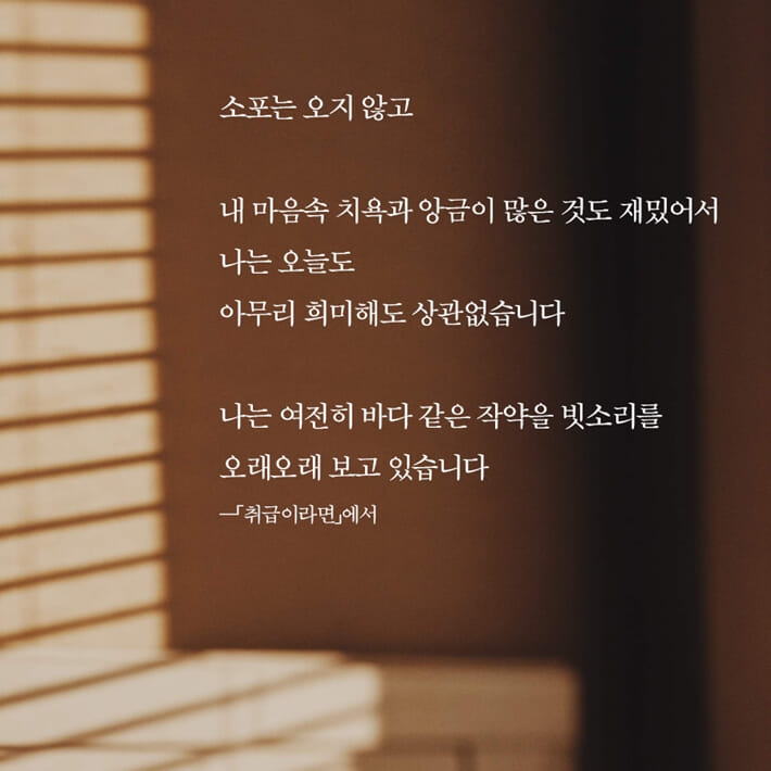 카드뉴스2
