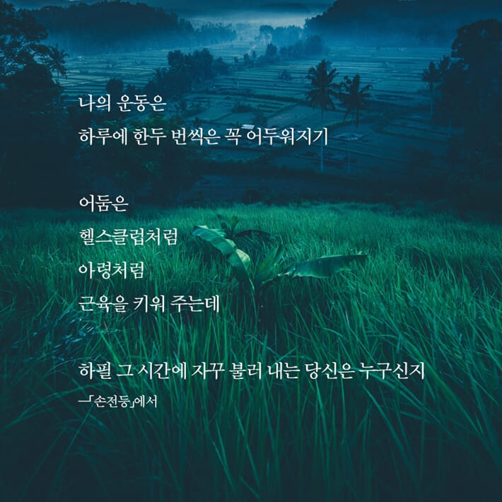 카드뉴스4
