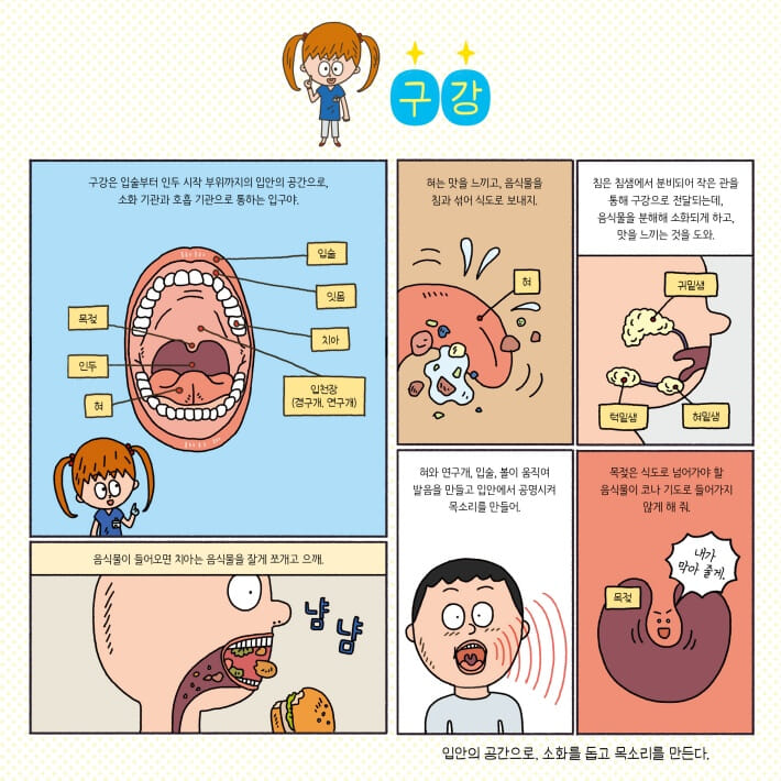 카드뉴스6