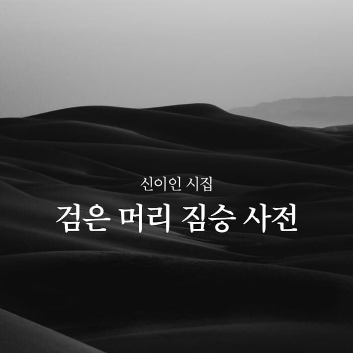 카드뉴스0