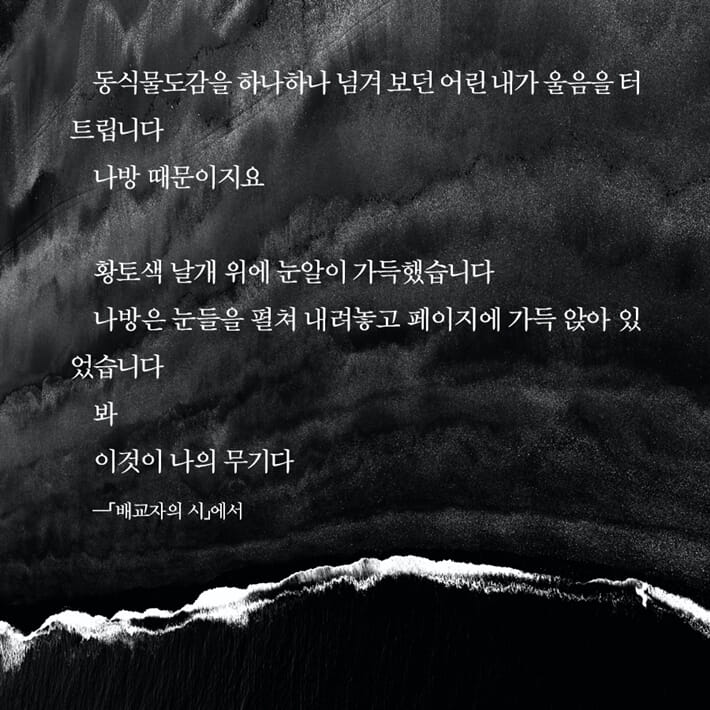 카드뉴스3