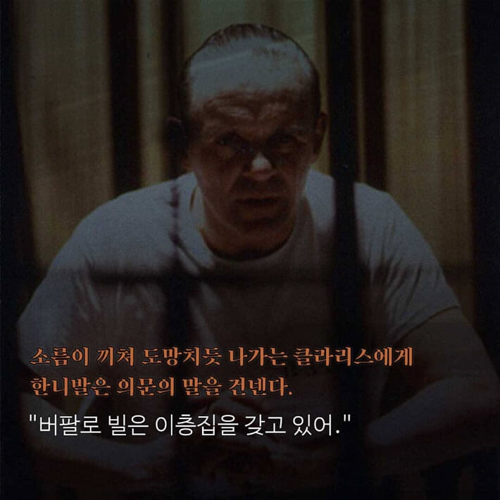 카드뉴스3