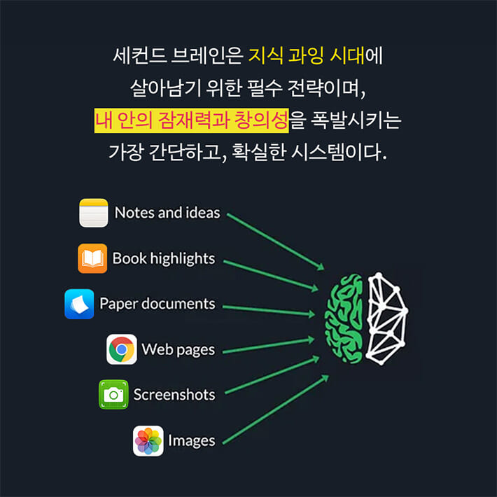 카드뉴스17