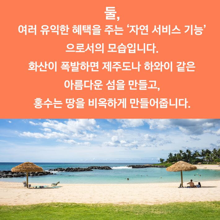 카드뉴스5