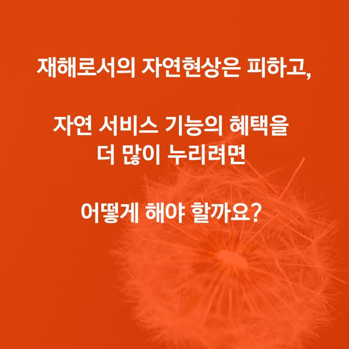 카드뉴스6