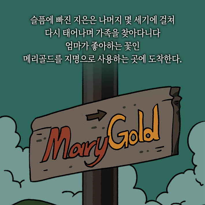 카드뉴스11