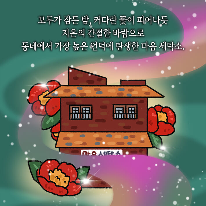 카드뉴스14