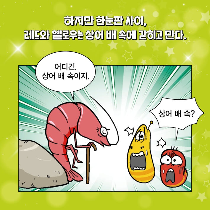 카드뉴스1