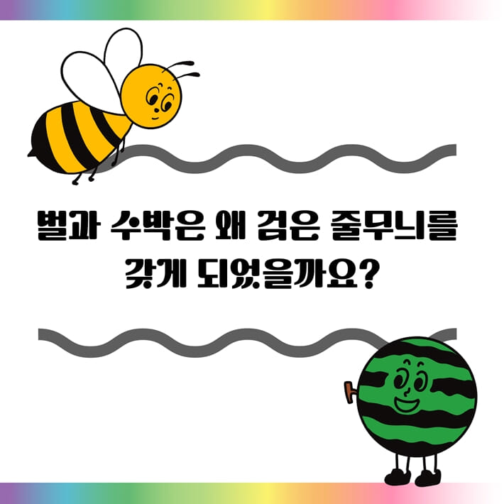 카드뉴스4