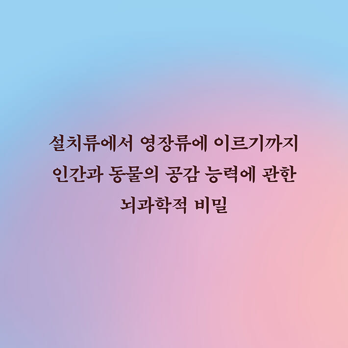 카드뉴스7