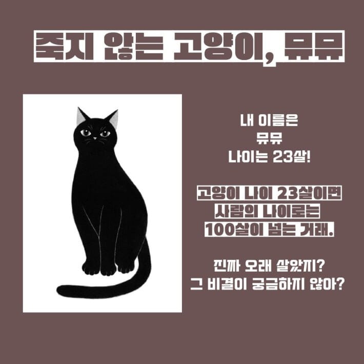 카드뉴스0