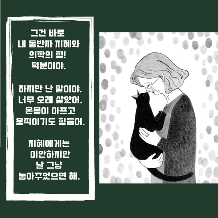 카드뉴스1