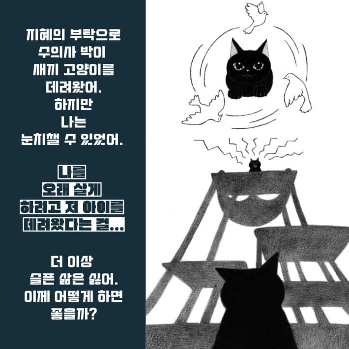 카드뉴스2