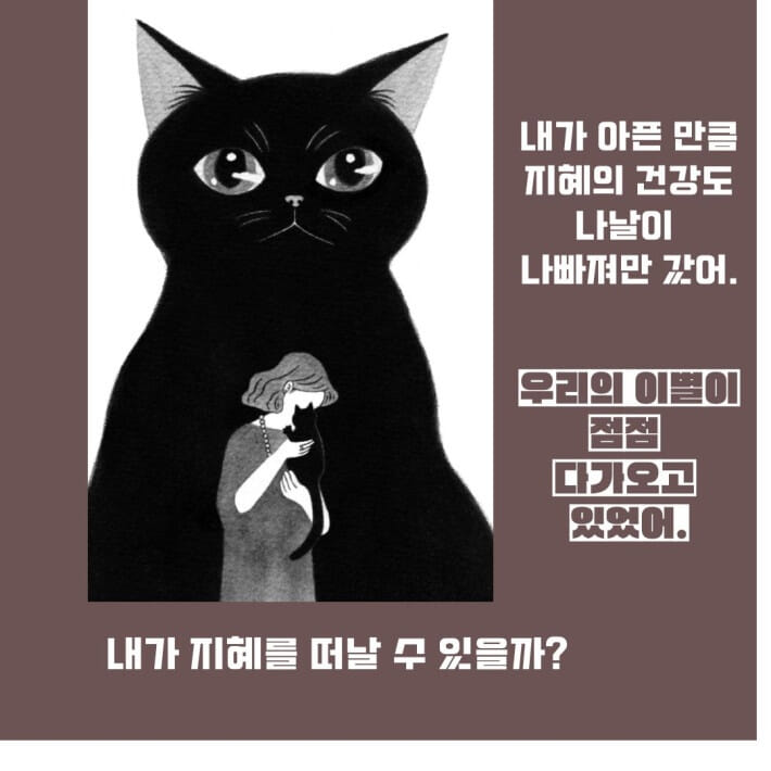 카드뉴스3