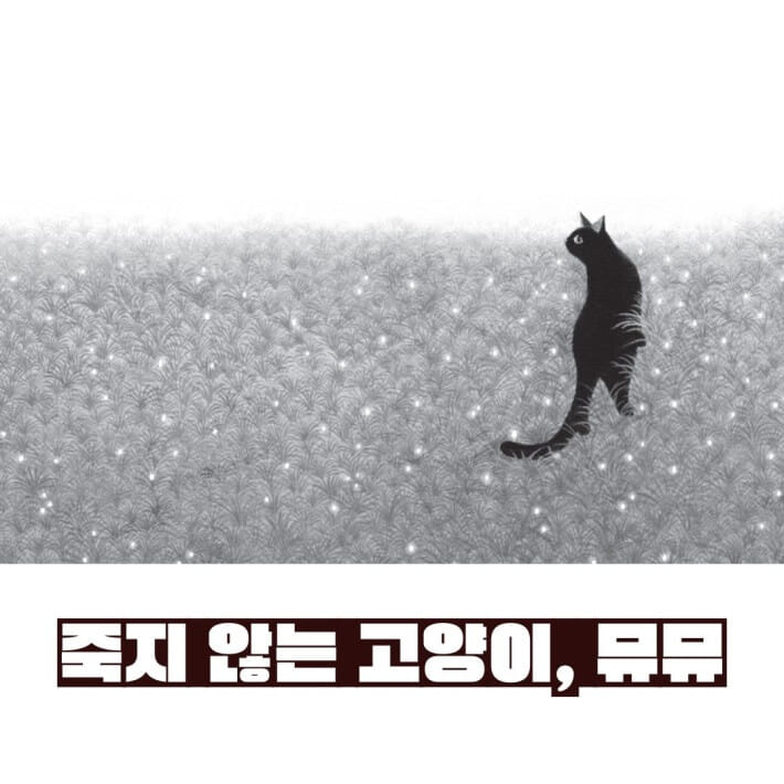 카드뉴스4