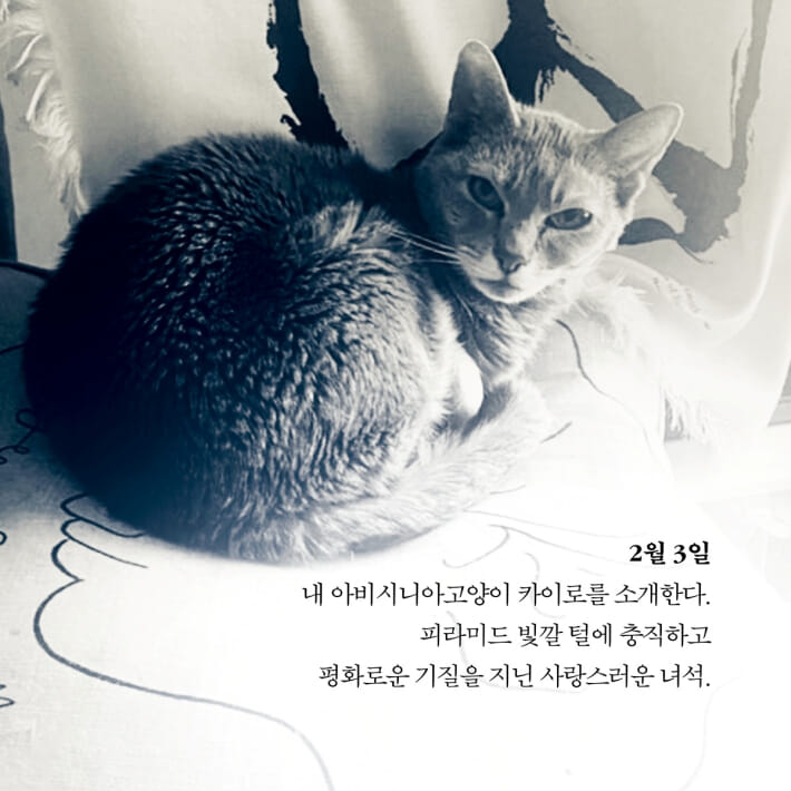 카드뉴스1