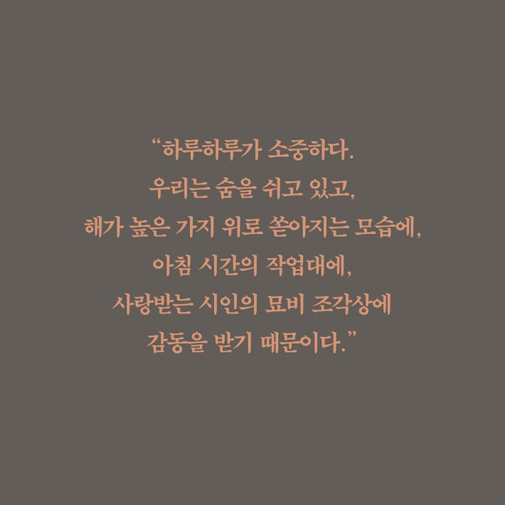 카드뉴스4