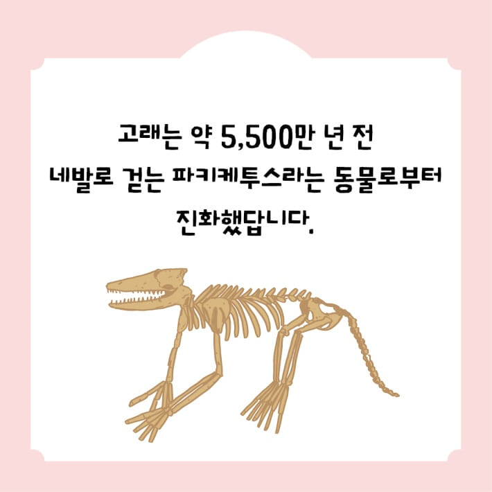 카드뉴스8