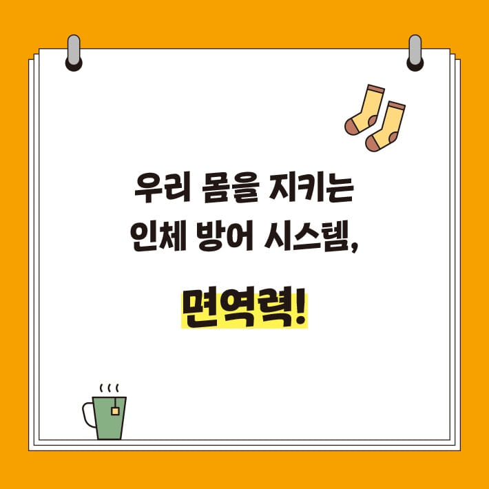 카드뉴스2