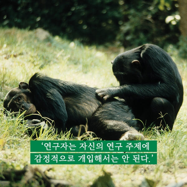 카드뉴스0
