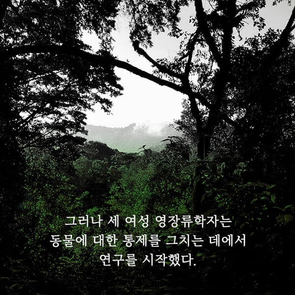카드뉴스1