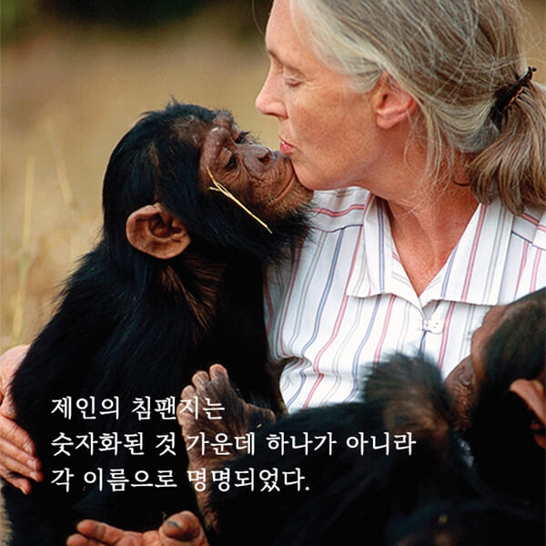 카드뉴스3