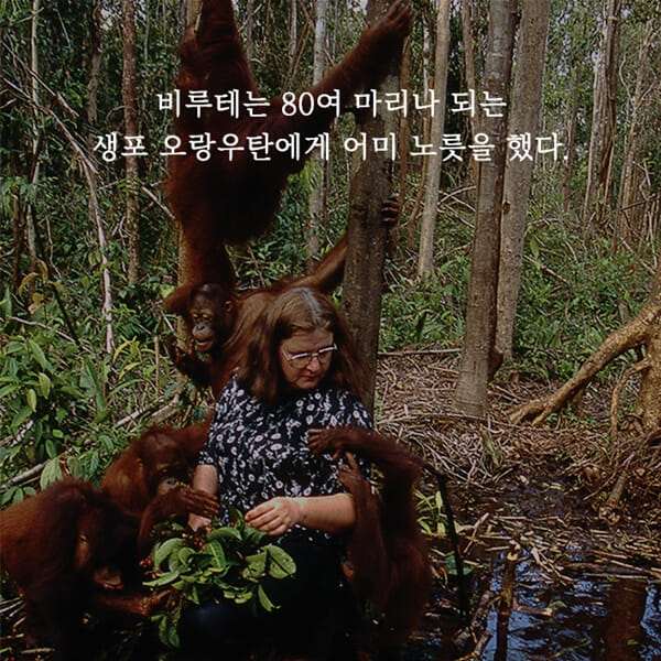 카드뉴스6