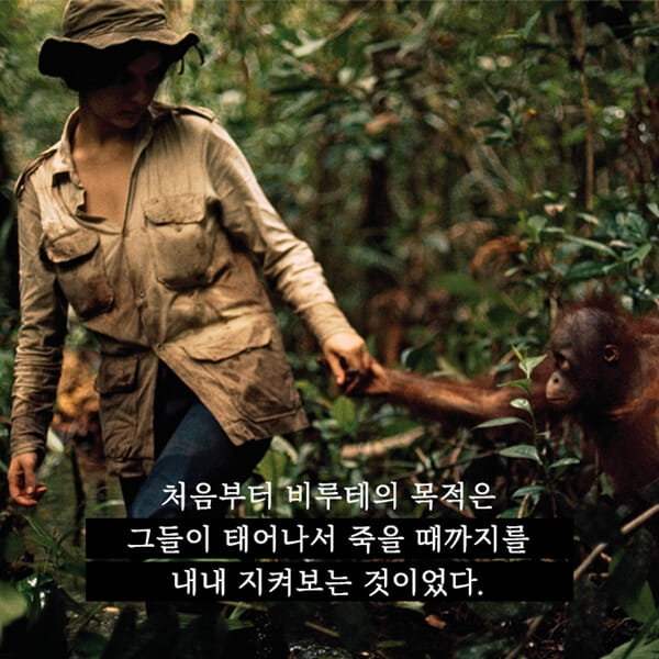 카드뉴스7