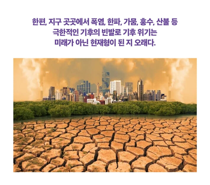 카드뉴스3