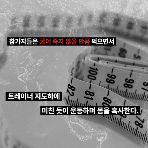 카드뉴스2