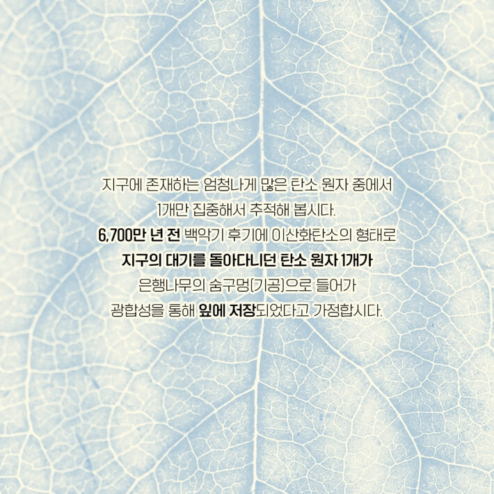 카드뉴스1