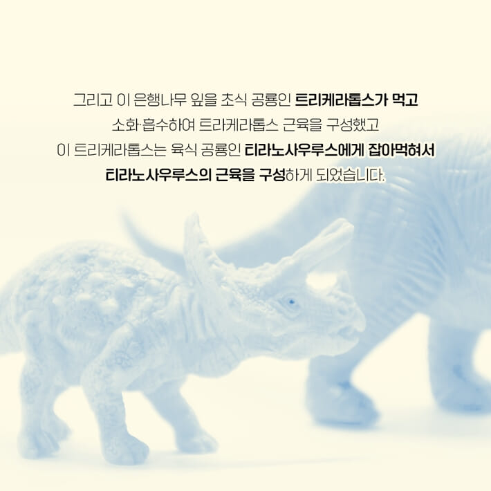 카드뉴스2