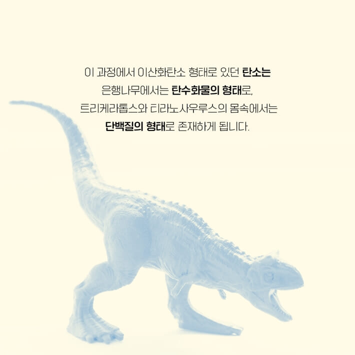 카드뉴스3