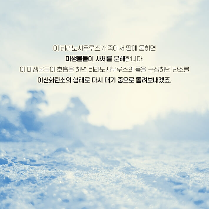 카드뉴스4