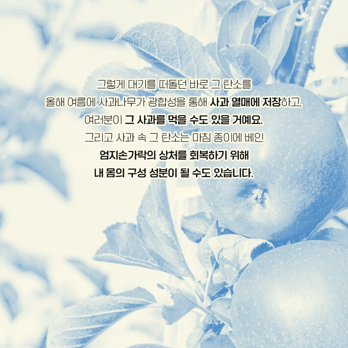카드뉴스5
