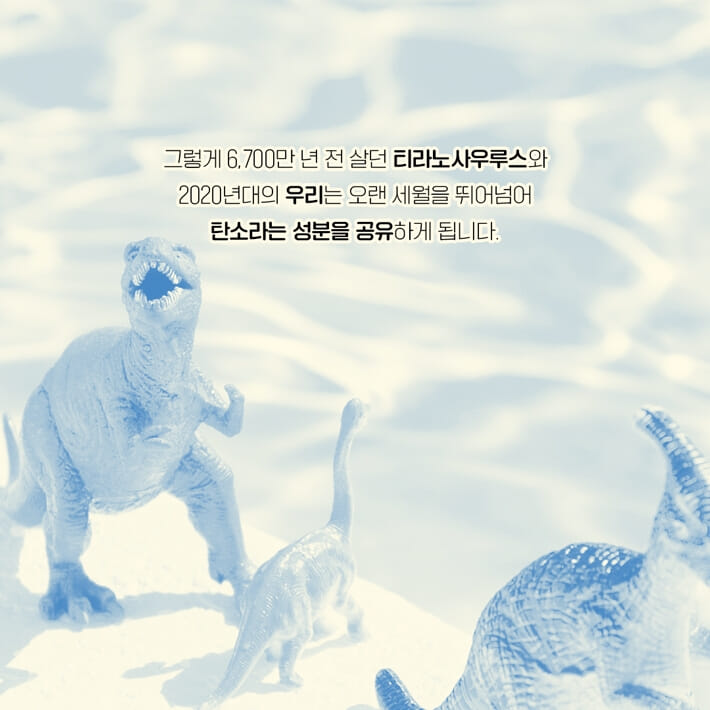 카드뉴스6