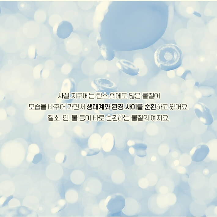 카드뉴스7