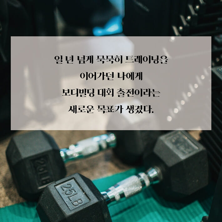 카드뉴스2