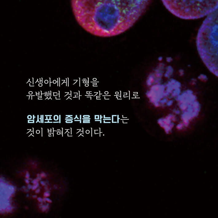 카드뉴스4