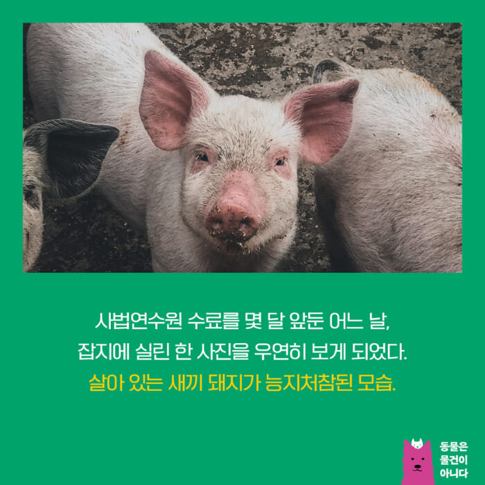 카드뉴스0