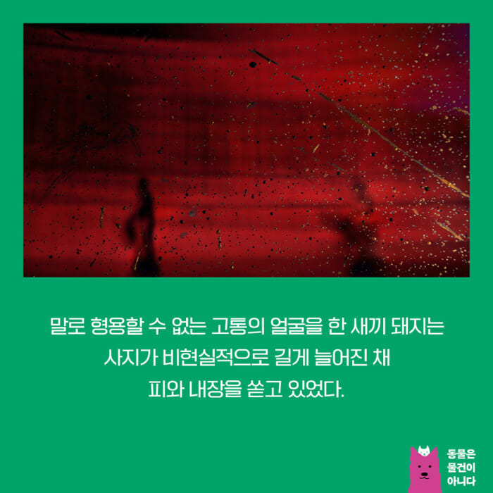 카드뉴스1