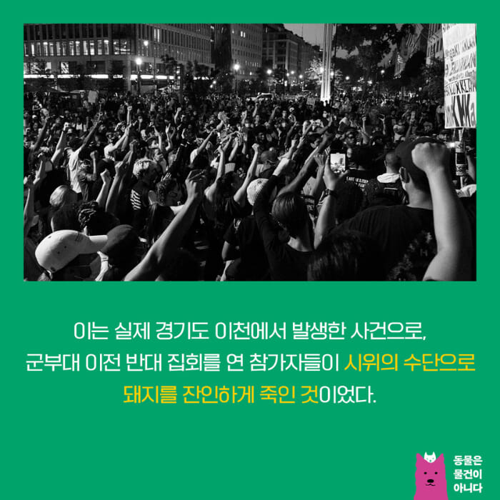 카드뉴스2