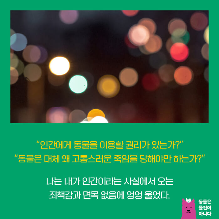 카드뉴스3