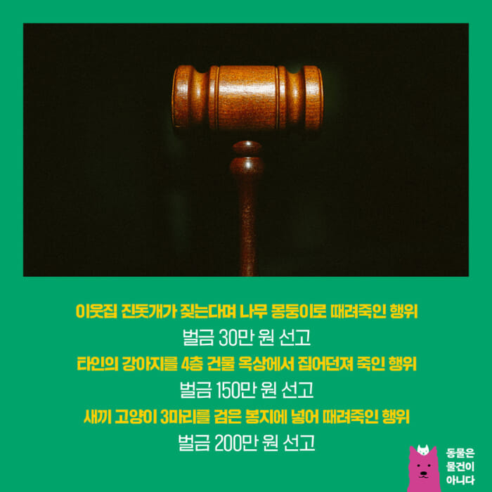 카드뉴스5